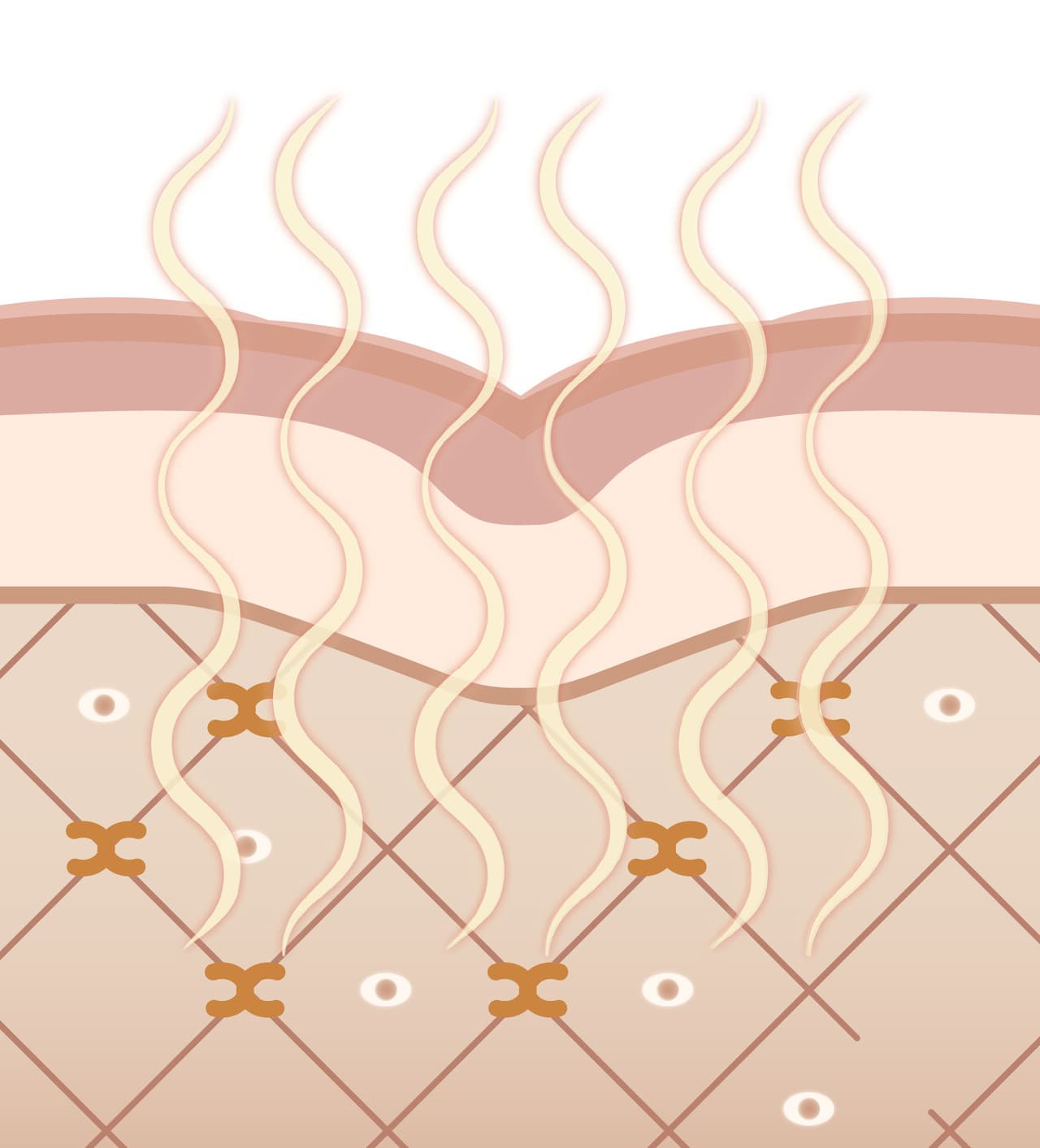 Thermage tips and energy settings adjusted per patient at DA Dermatology Dosan